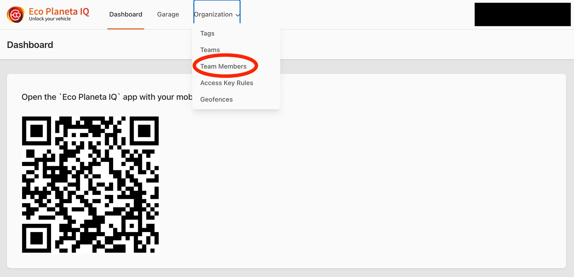 Web app: Organization menu open with Team Members circled